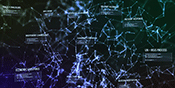 Reinforced inclusion, transparency and respect for human rights for a free and open internet